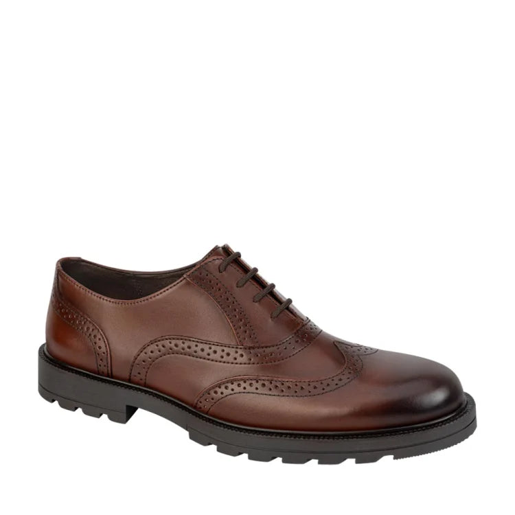 Zapato Oxford casual para caballero Pierre Cardin | zapato semi formal