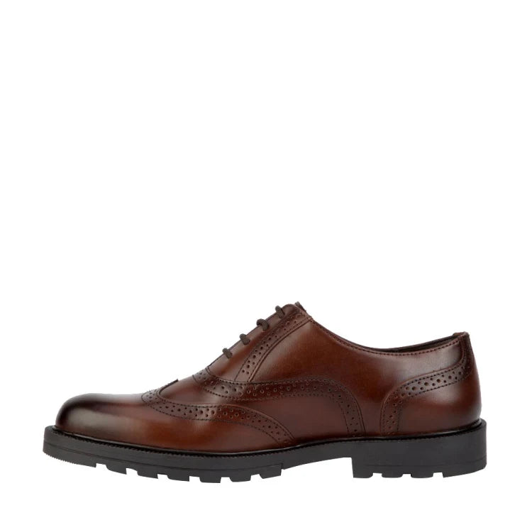 Zapato Oxford casual para caballero Pierre Cardin | zapato semi formal