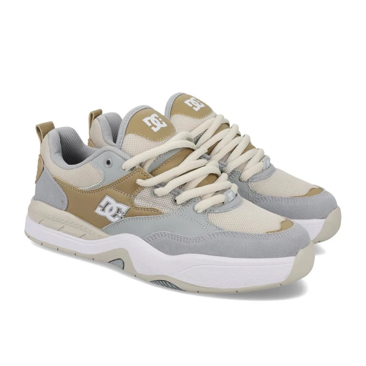 Tenis casual para caballero DC Shoes Ascend | tenis urbanos
